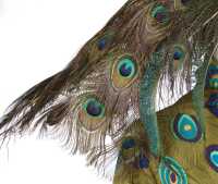 Peggy Moffit's Rudi Gernreich 'Peacock' ensemble, Fall 1966, worn in the 'BASIC BLACK' film, 1967 - 8