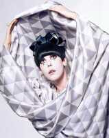 Peggy Moffitt's Rudi Gernreich Tzaims Luksus print silk evening dress, 1966 - 2
